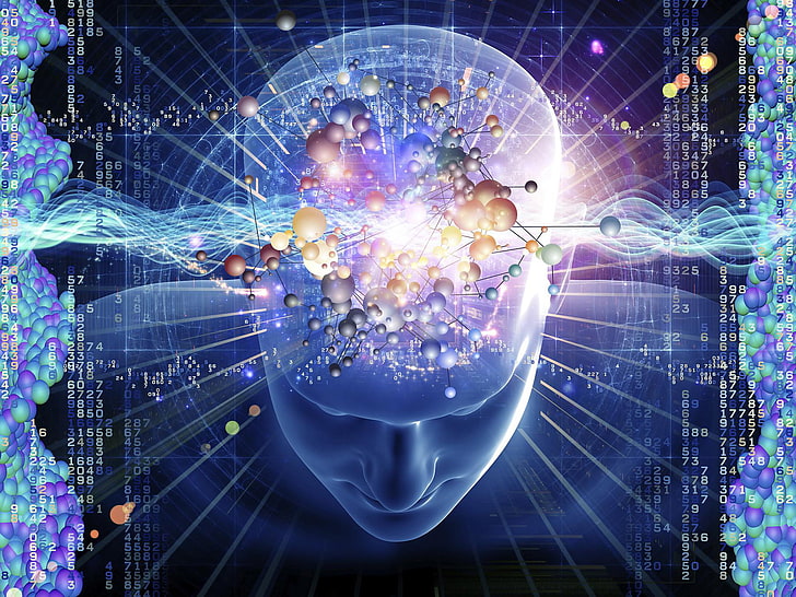 Neural Connections